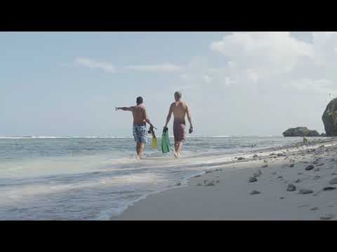 Samana beaches